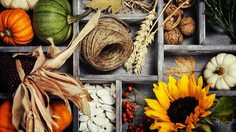 Autumn Harvest Arrangement — Yellow, Photograph, Pumpkins