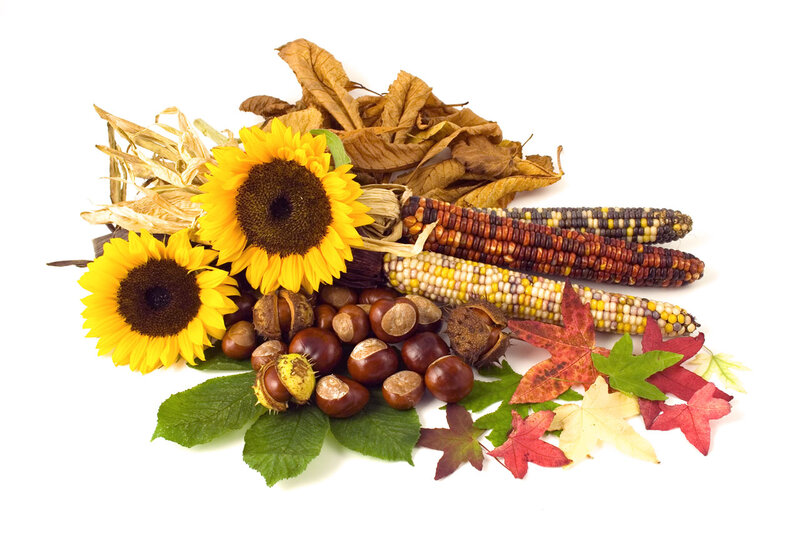 Autumn Harvest Arrangement — Yellow, Photograph