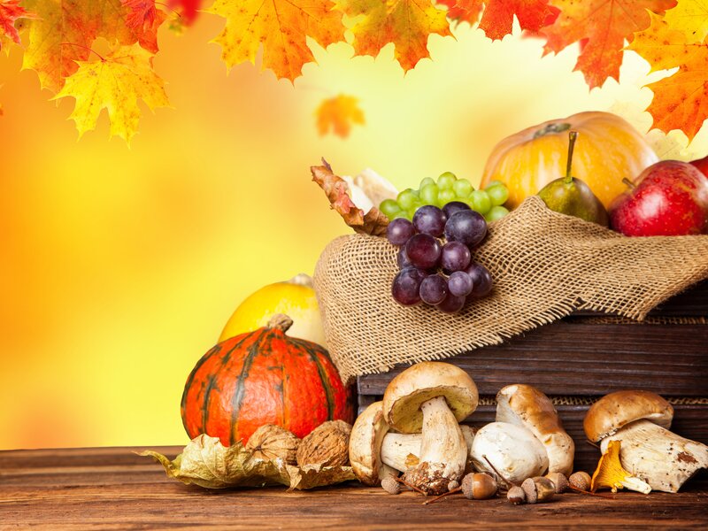 Autumn Harvest Arrangement — Yellow, Warm