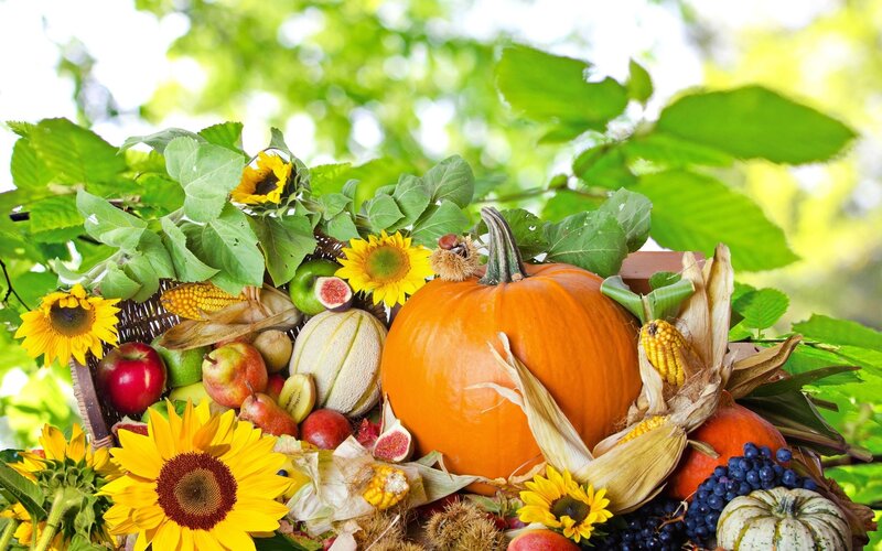 Autumn Harvest Basket — Orange, Abundant, Photograph, Pumpkin
