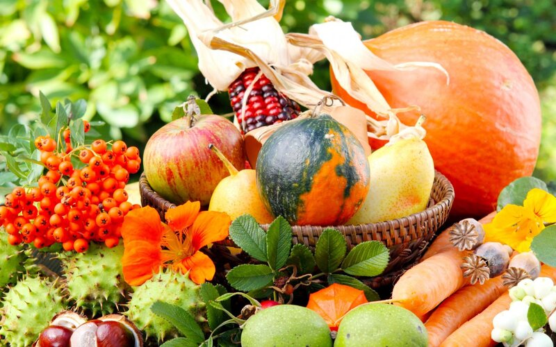 Autumn Harvest Basket — Orange, Abundant