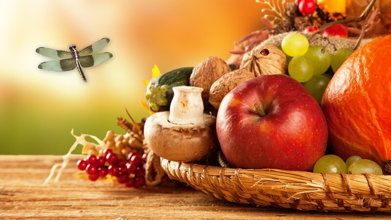 Autumn Harvest Basket — Orange, Photograph