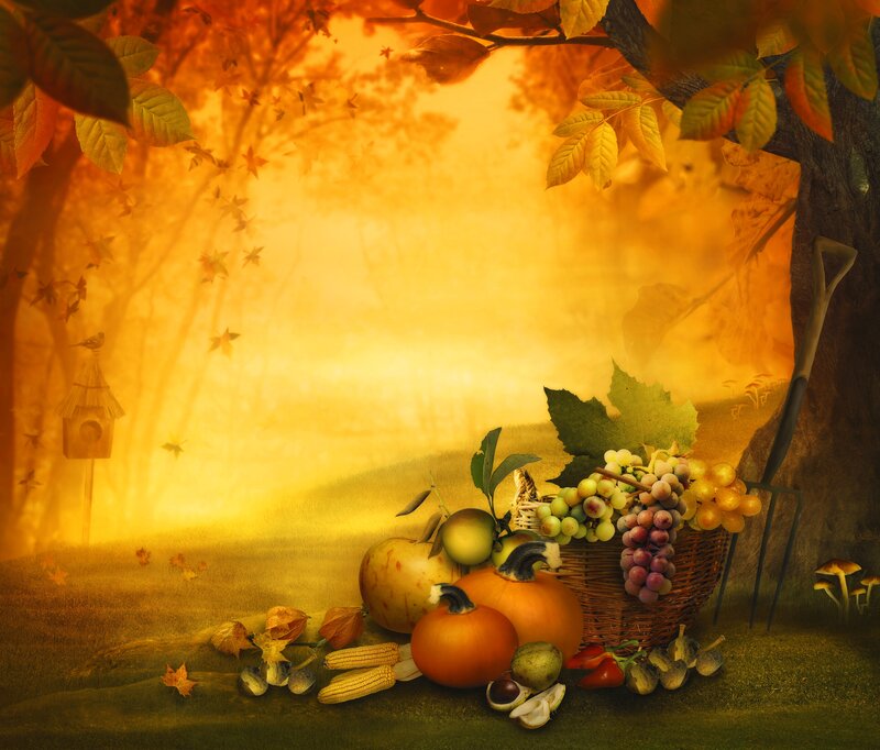 Autumn Harvest Basket — Orange, Serene
