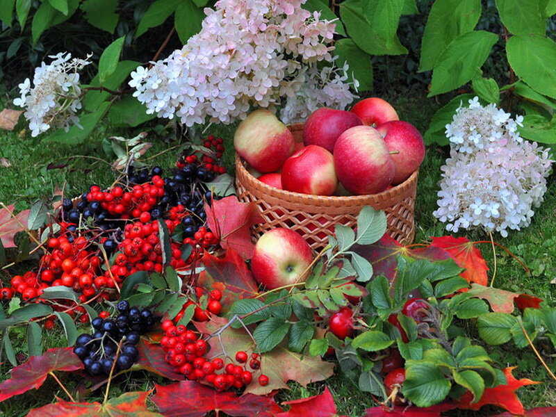 Autumn Harvest Basket — Red