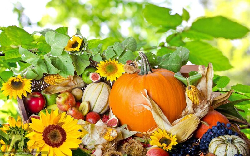 Autumn harvest bounty