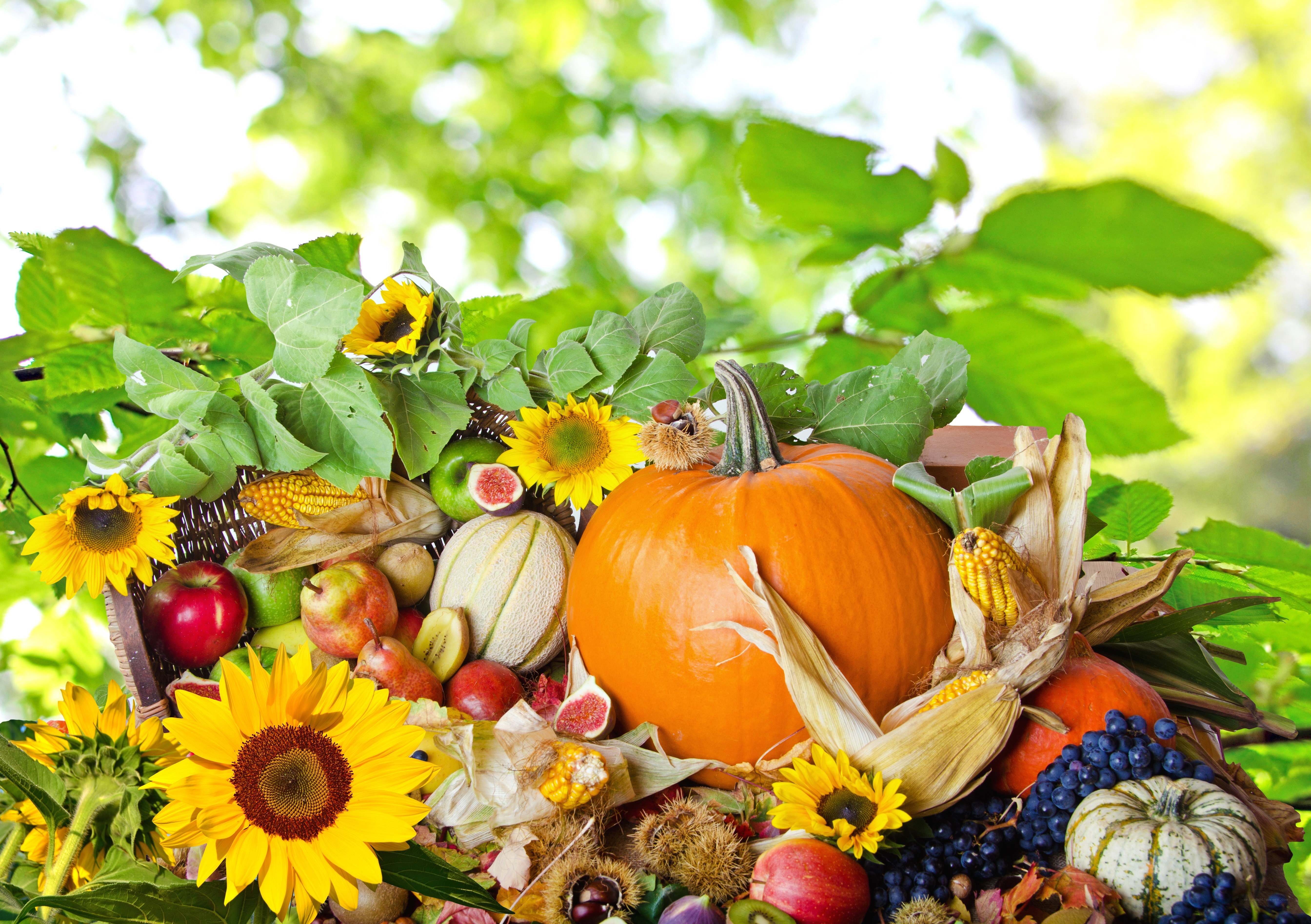 Autumn harvest bounty