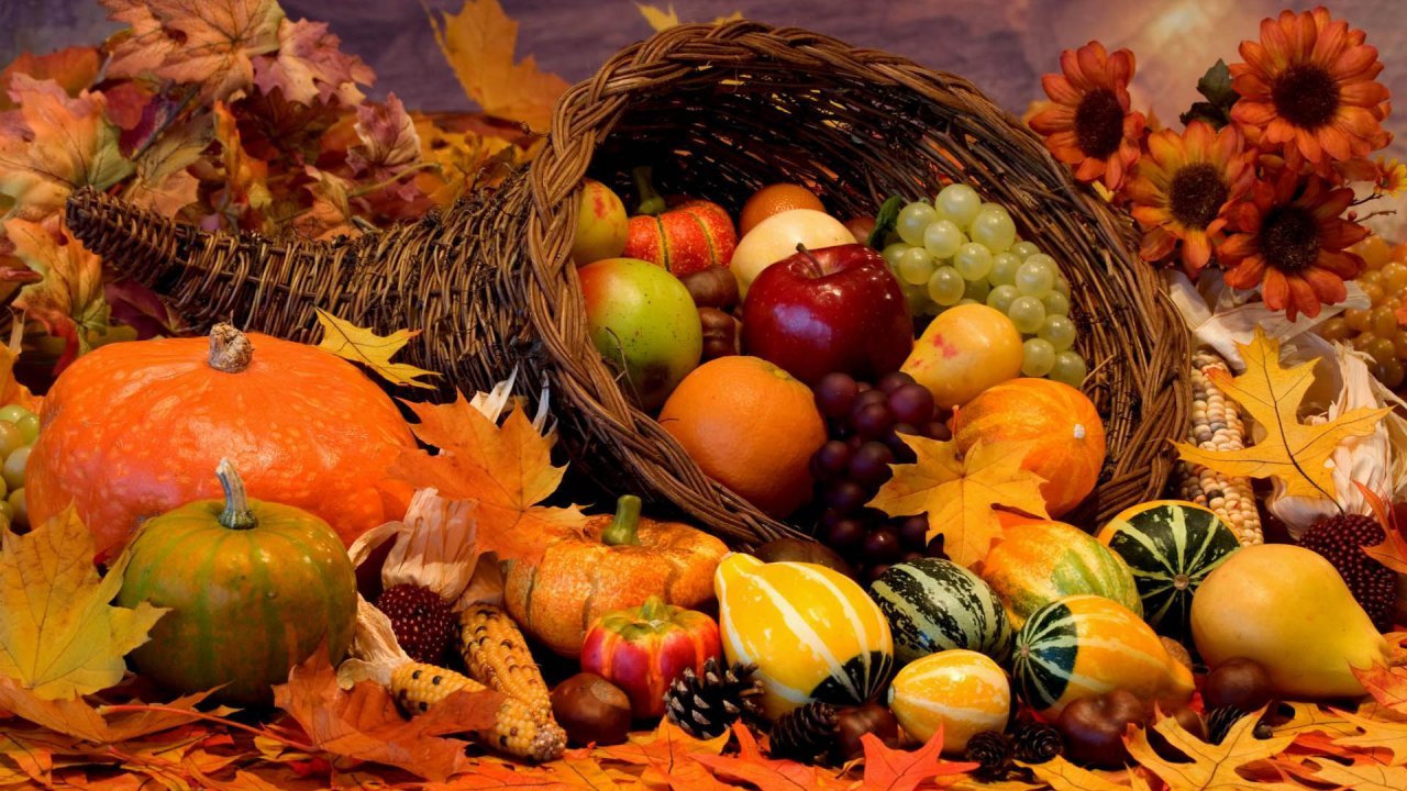 Autumn harvest cornucopia