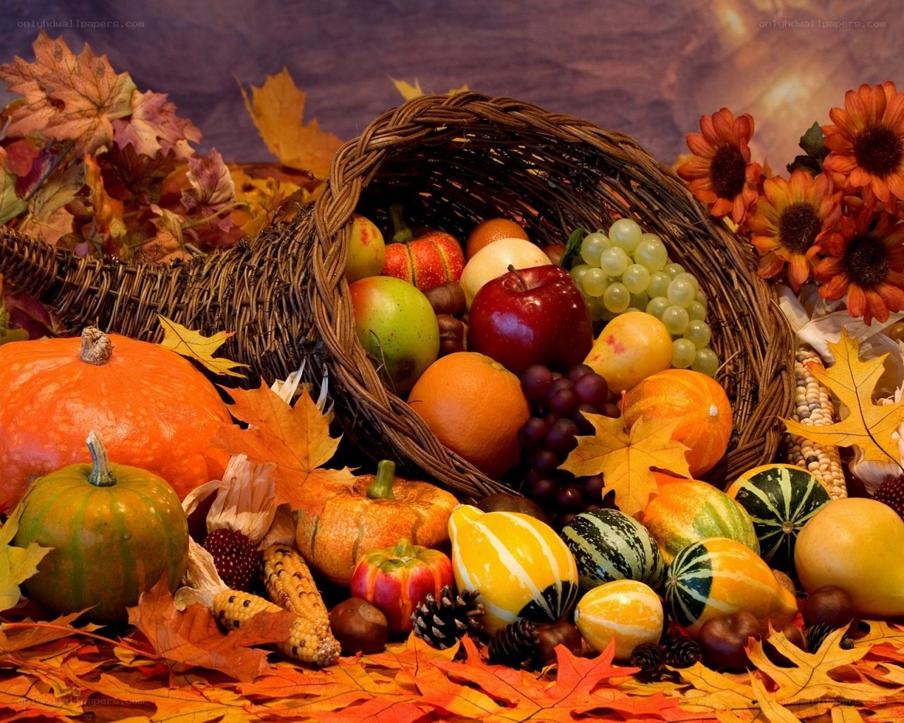 Autumn harvest cornucopia