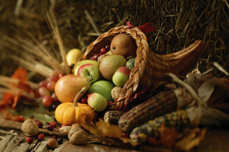Autumn harvest cornucopia