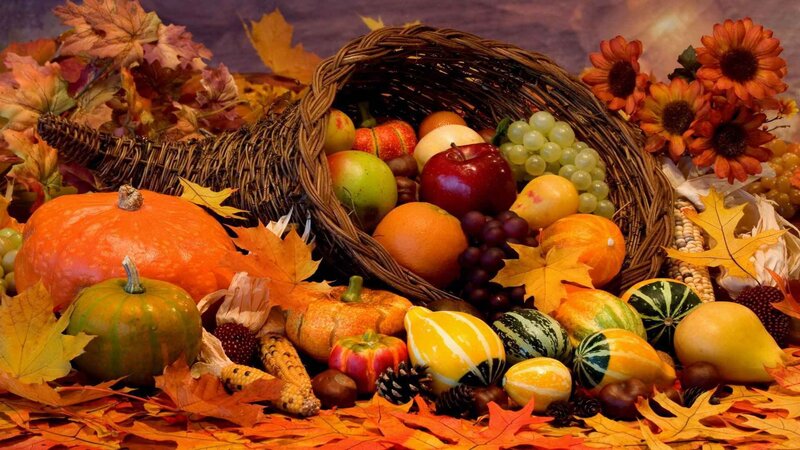 Autumn harvest cornucopia