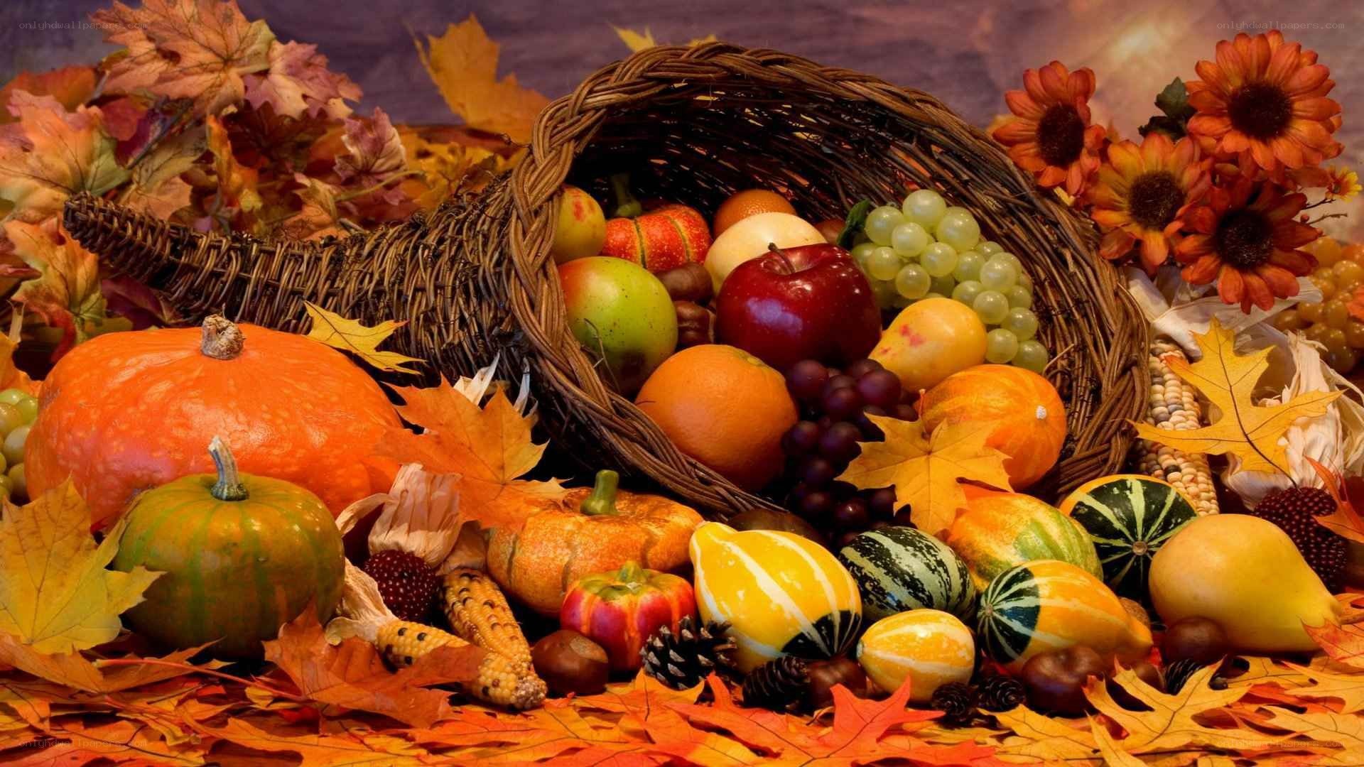 Autumn harvest cornucopia