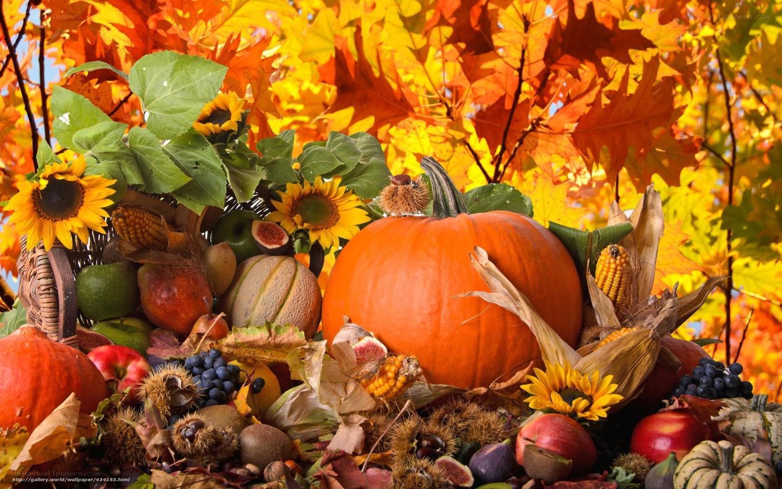 Autumn harvest display