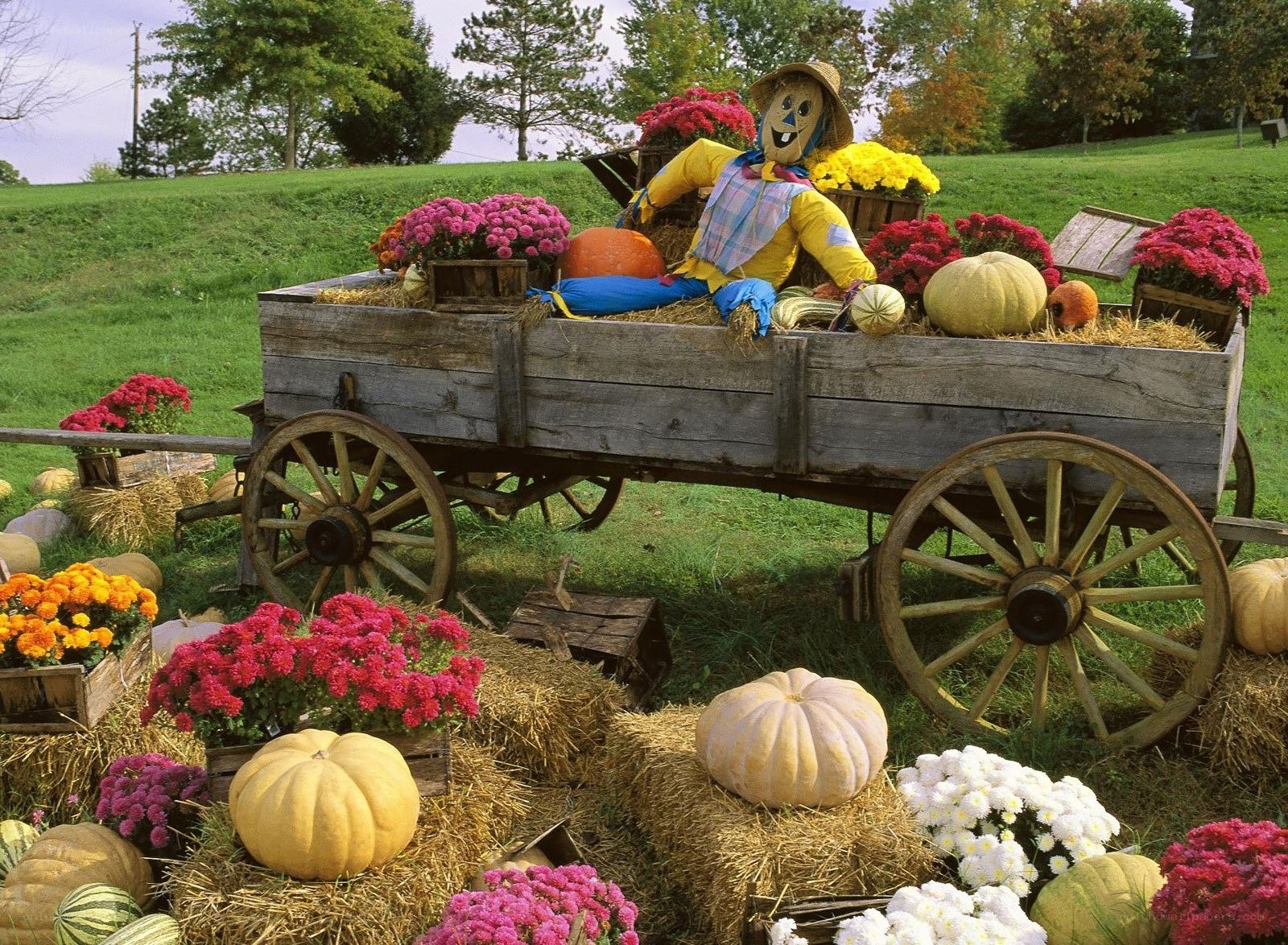 Autumn harvest display