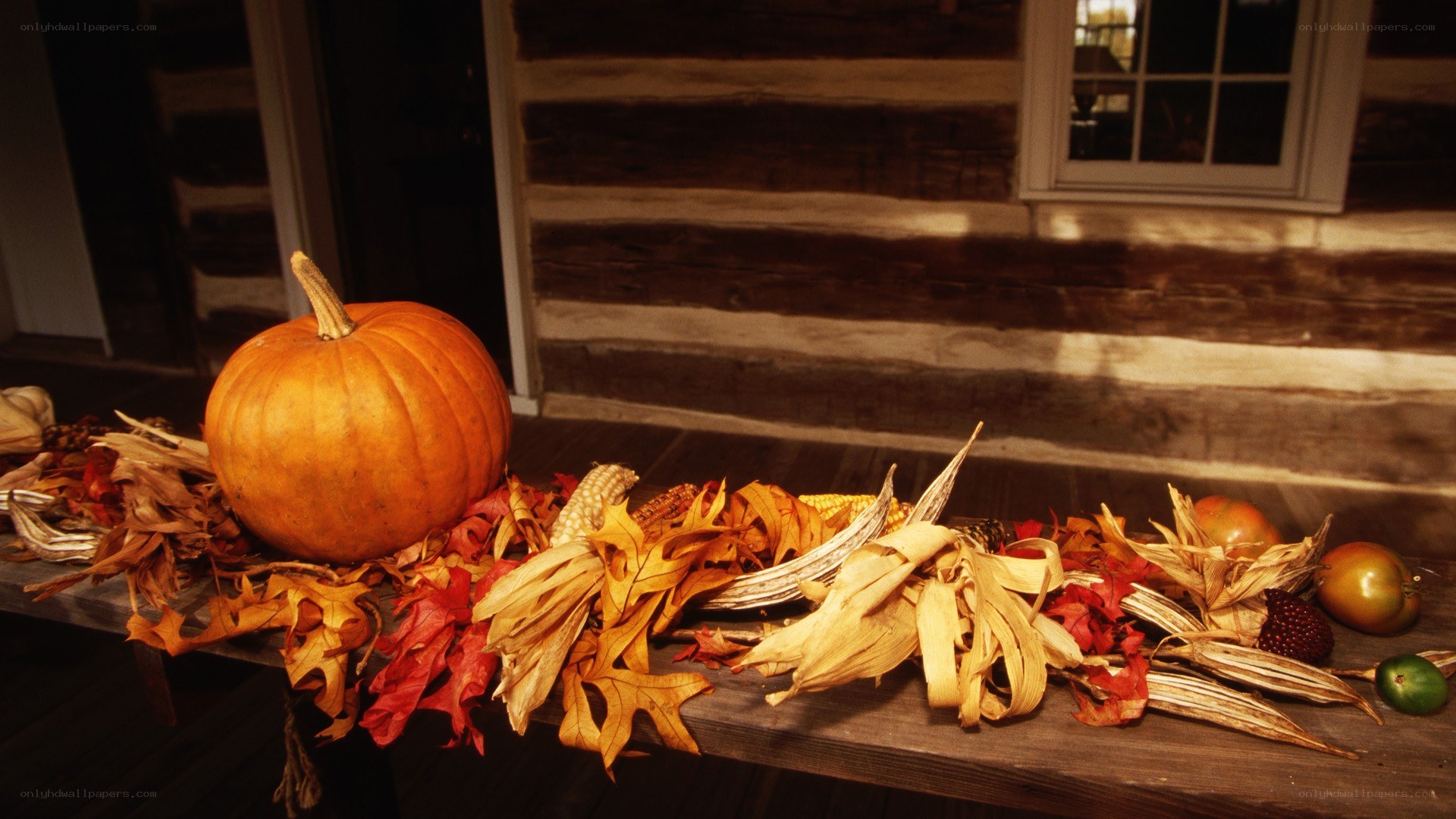 Autumn harvest display
