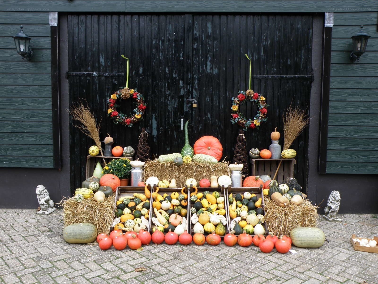 Autumn harvest display