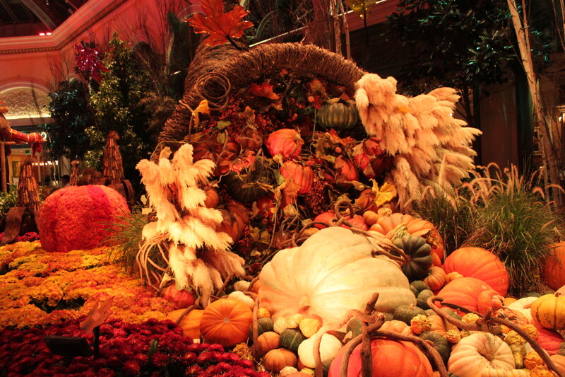 Autumn Harvest Display — Orange, Festive