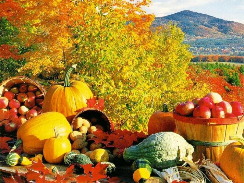 Autumn Harvest Display — Orange, Photograph