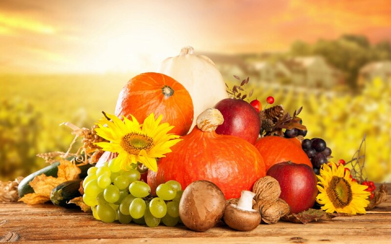 Autumn Harvest Display — Orange, Sunset