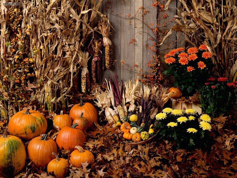 Autumn Harvest Display — Orange