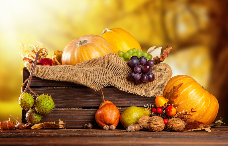 Autumn Harvest Display — Orange, Warm