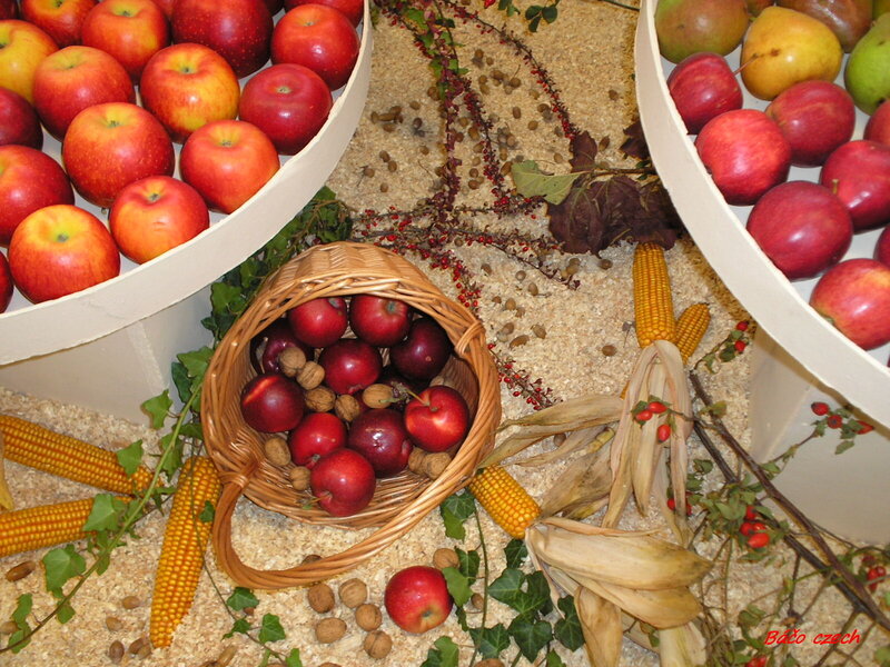 Autumn Harvest Display — Red