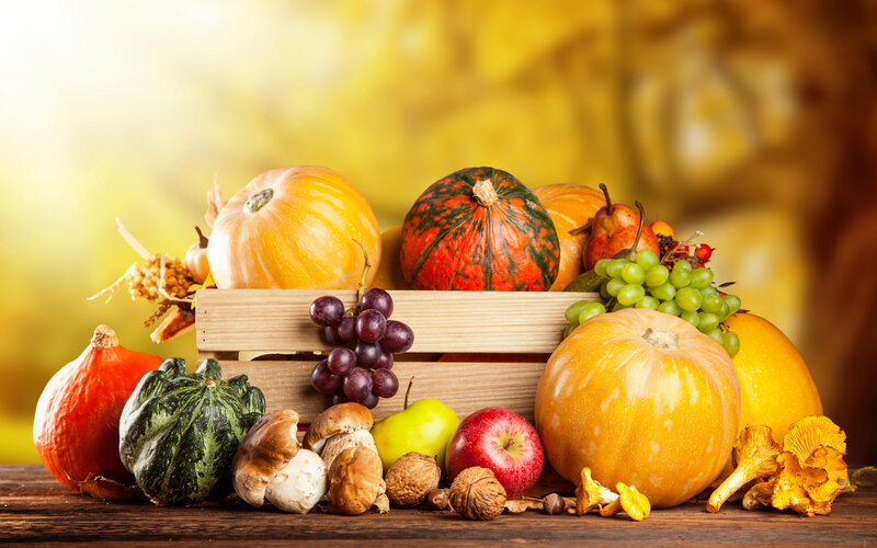 Autumn Harvest Display — Yellow, Abundant