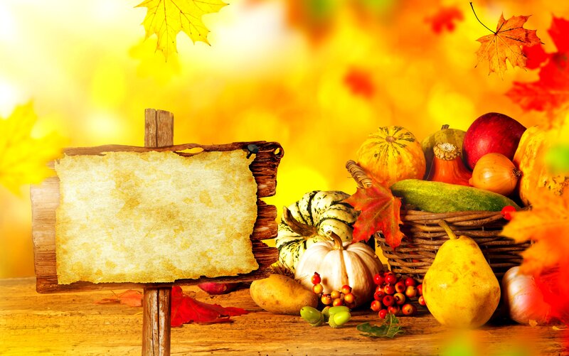 Autumn Harvest Display — Yellow, Warm