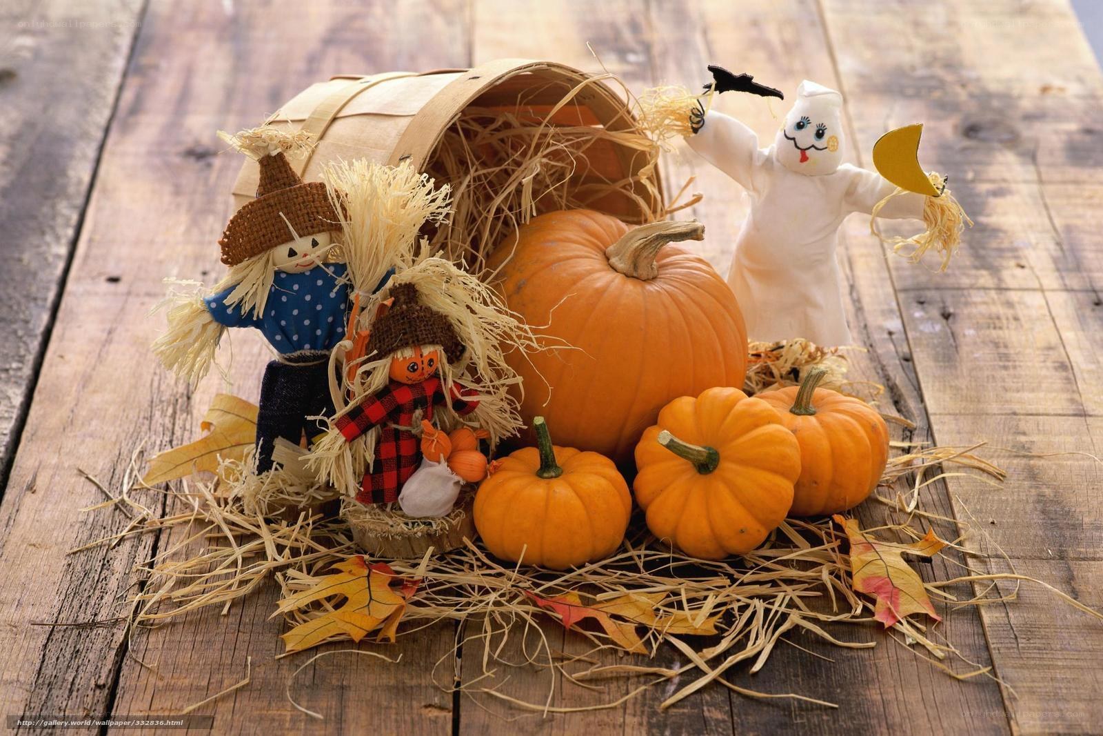 Autumn harvest display