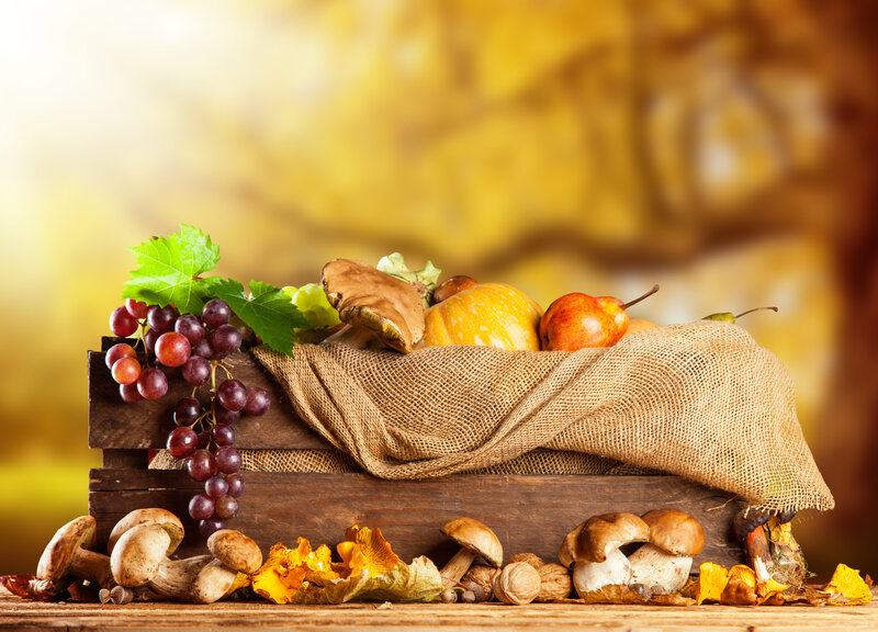Autumn Harvest in Crate