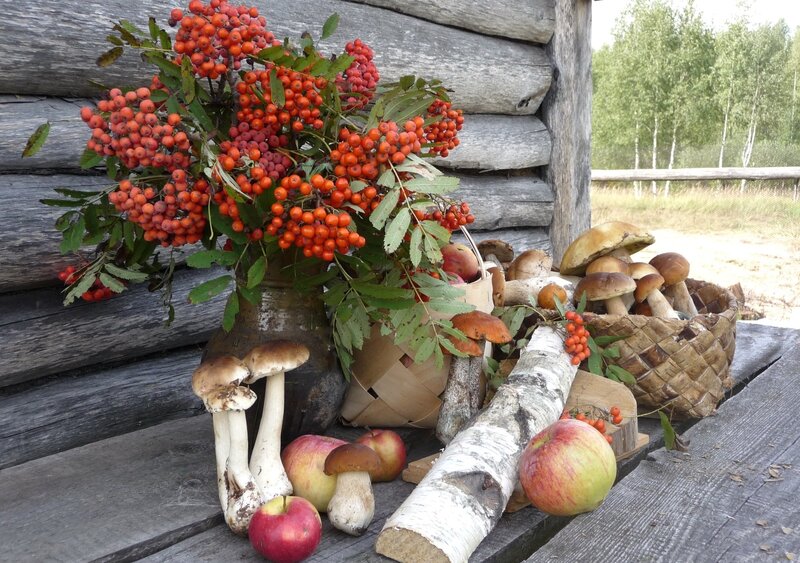 Autumn Harvest on Table