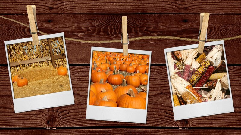 Autumn harvest photos
