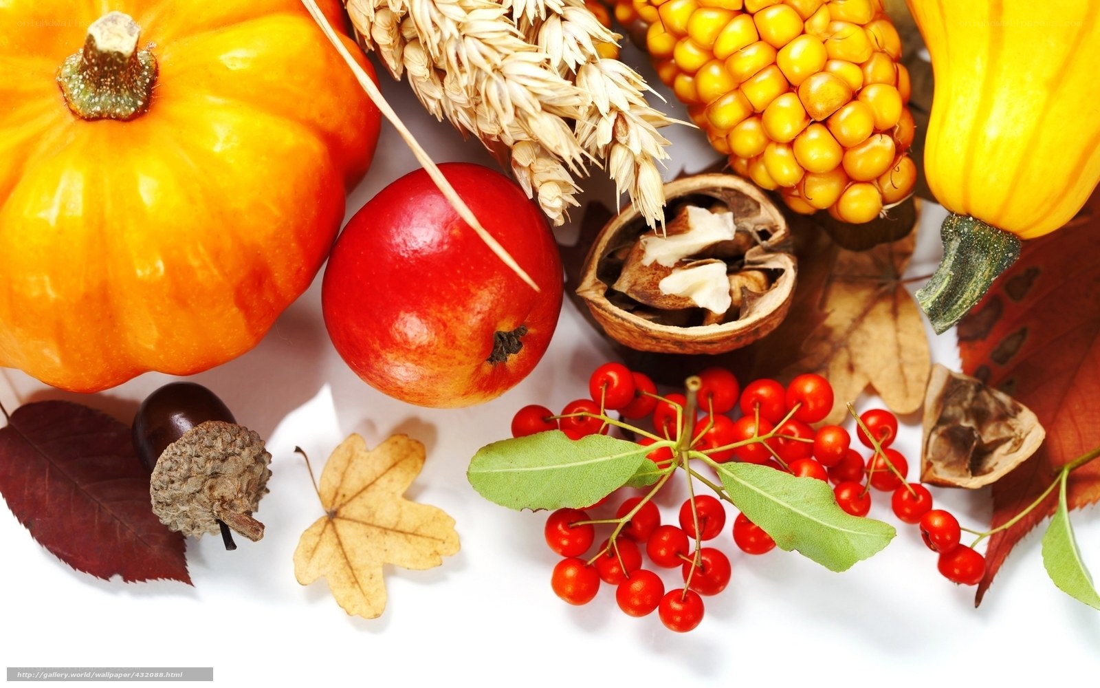 Autumn harvest still life
