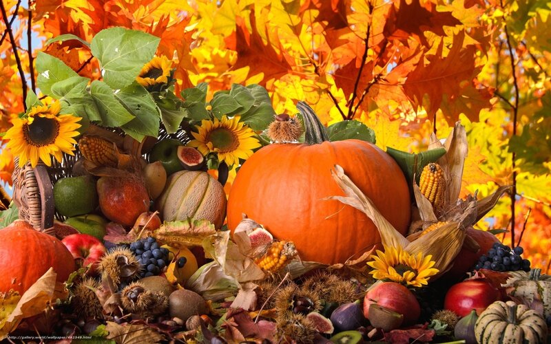 Autumn harvest still life