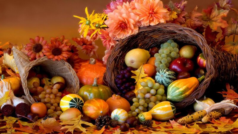 Autumn harvest still life