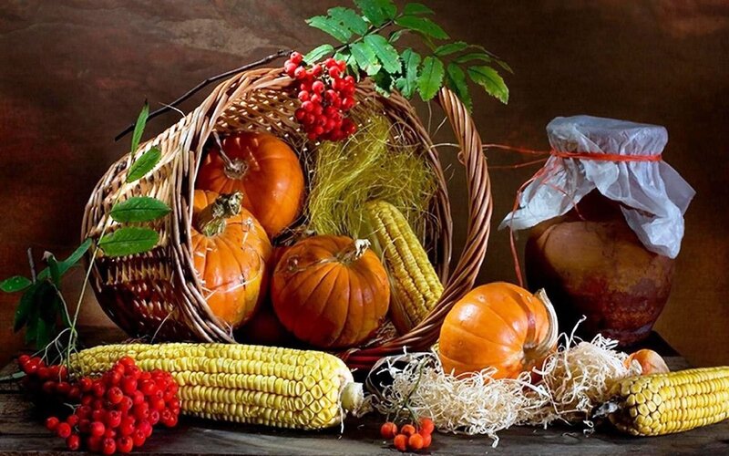 Autumn Harvest Still Life — Orange, Calm