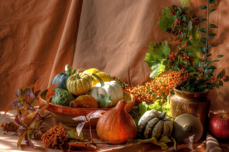 Autumn Harvest Still Life — Orange, Dramatic