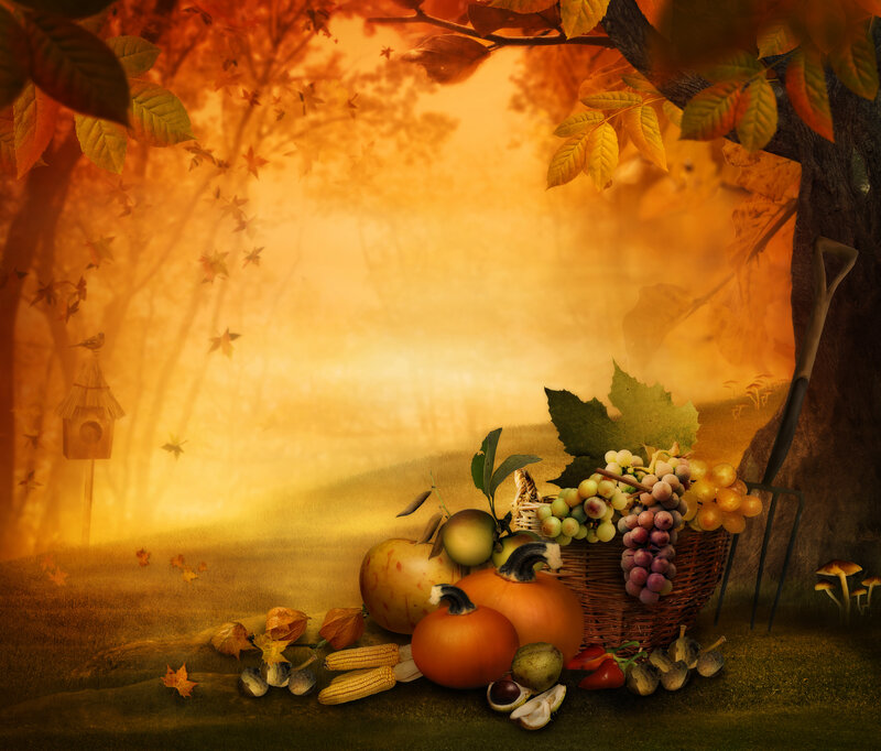 Autumn Harvest Still Life — Orange, Serene