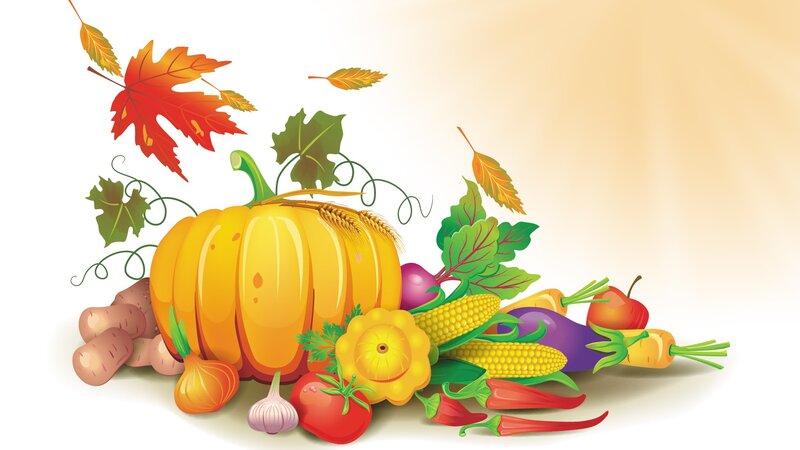 Autumn Harvest Vegetables
