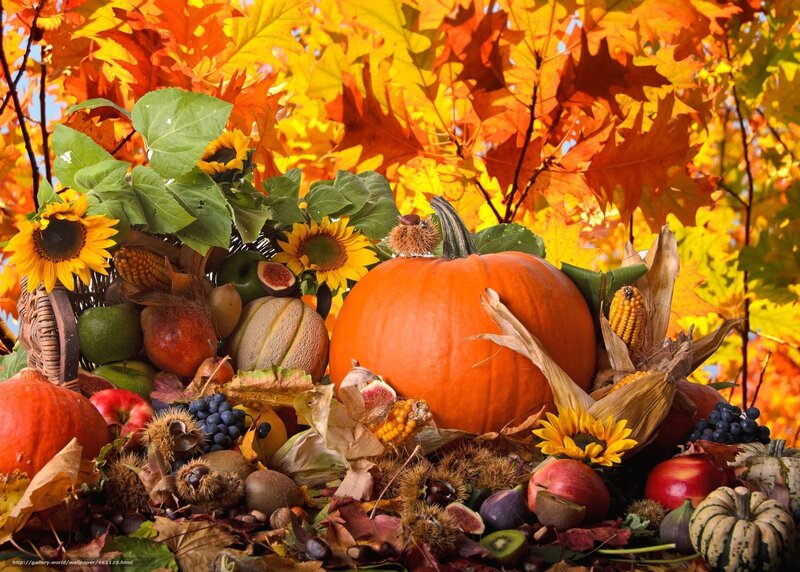 Autumn harvest with pumpkins