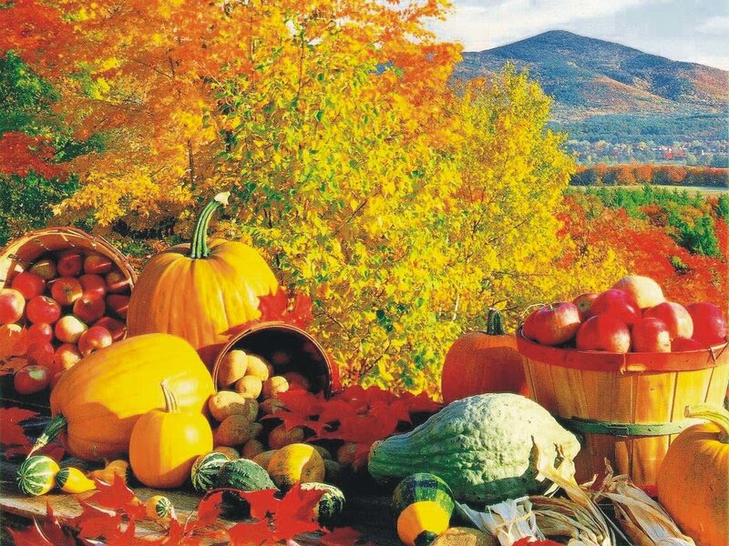 Autumn harvest with pumpkins and apples