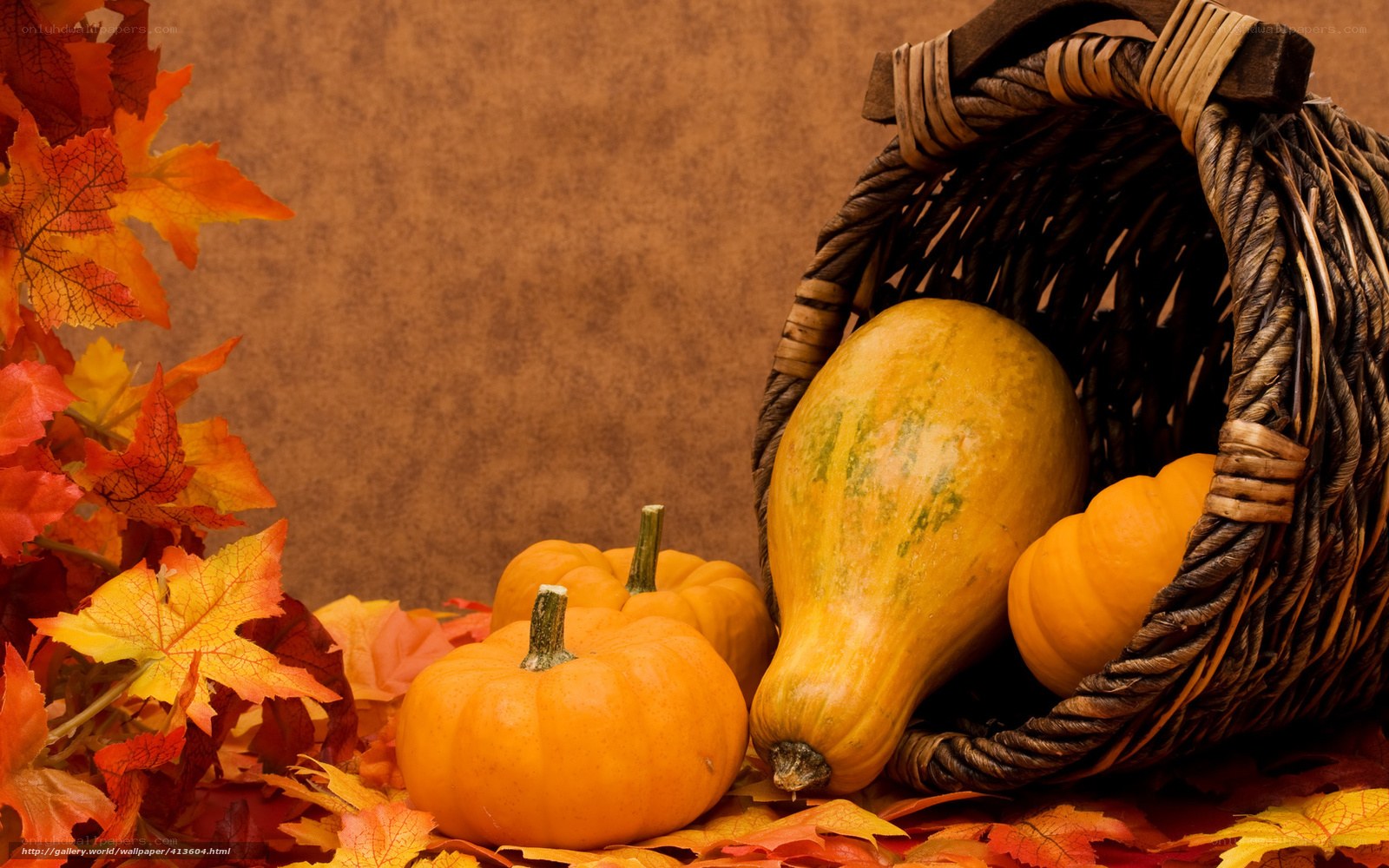 Autumn harvest with pumpkins