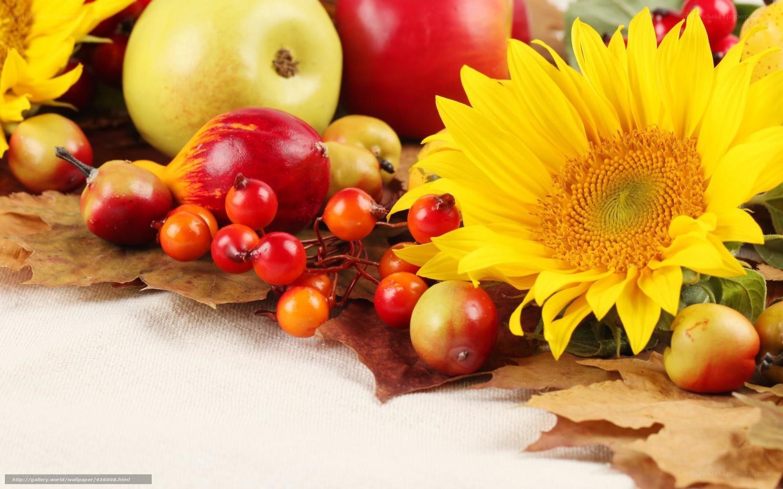 Autumn harvest with sunflowers