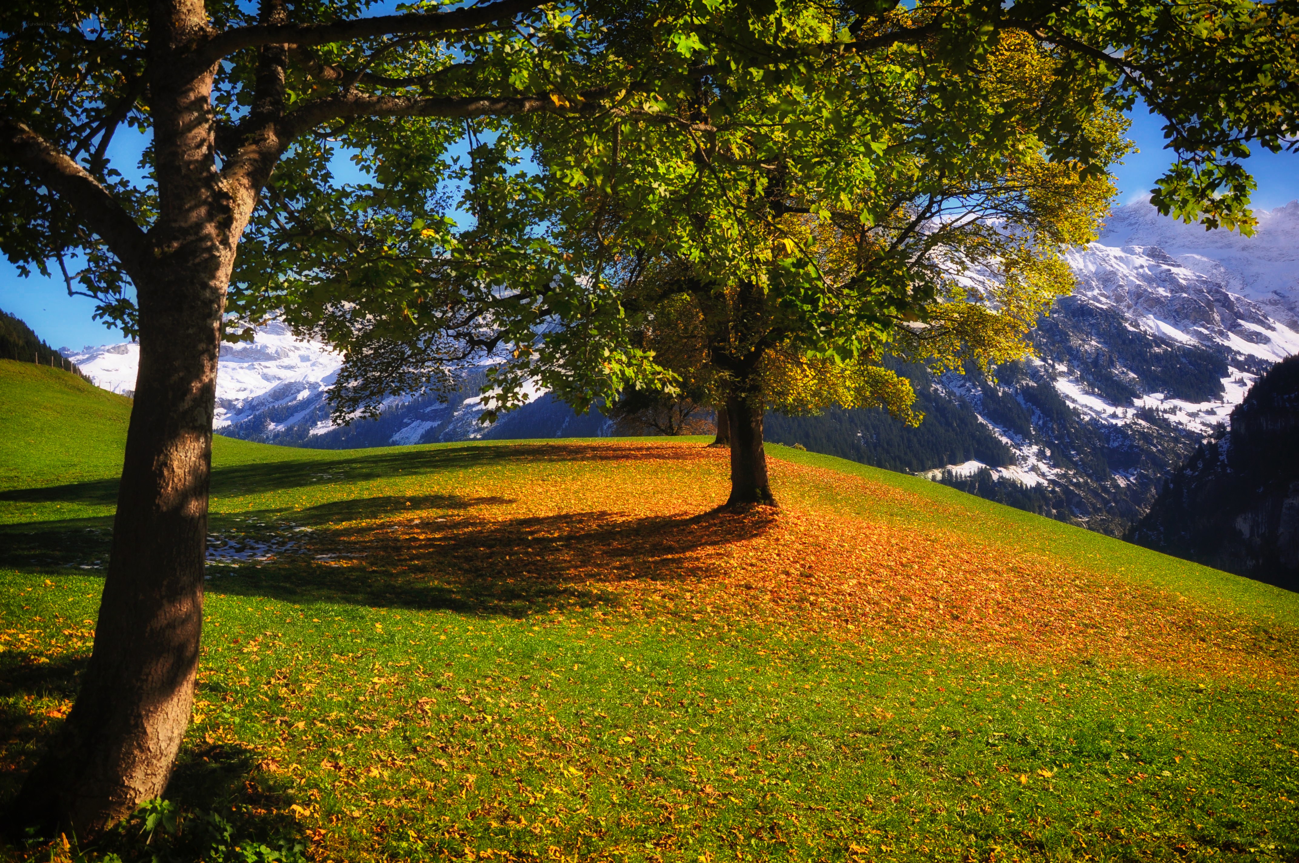 Autumn hill with mountains