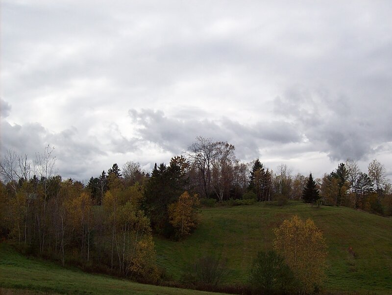 Autumn Hill with Trees