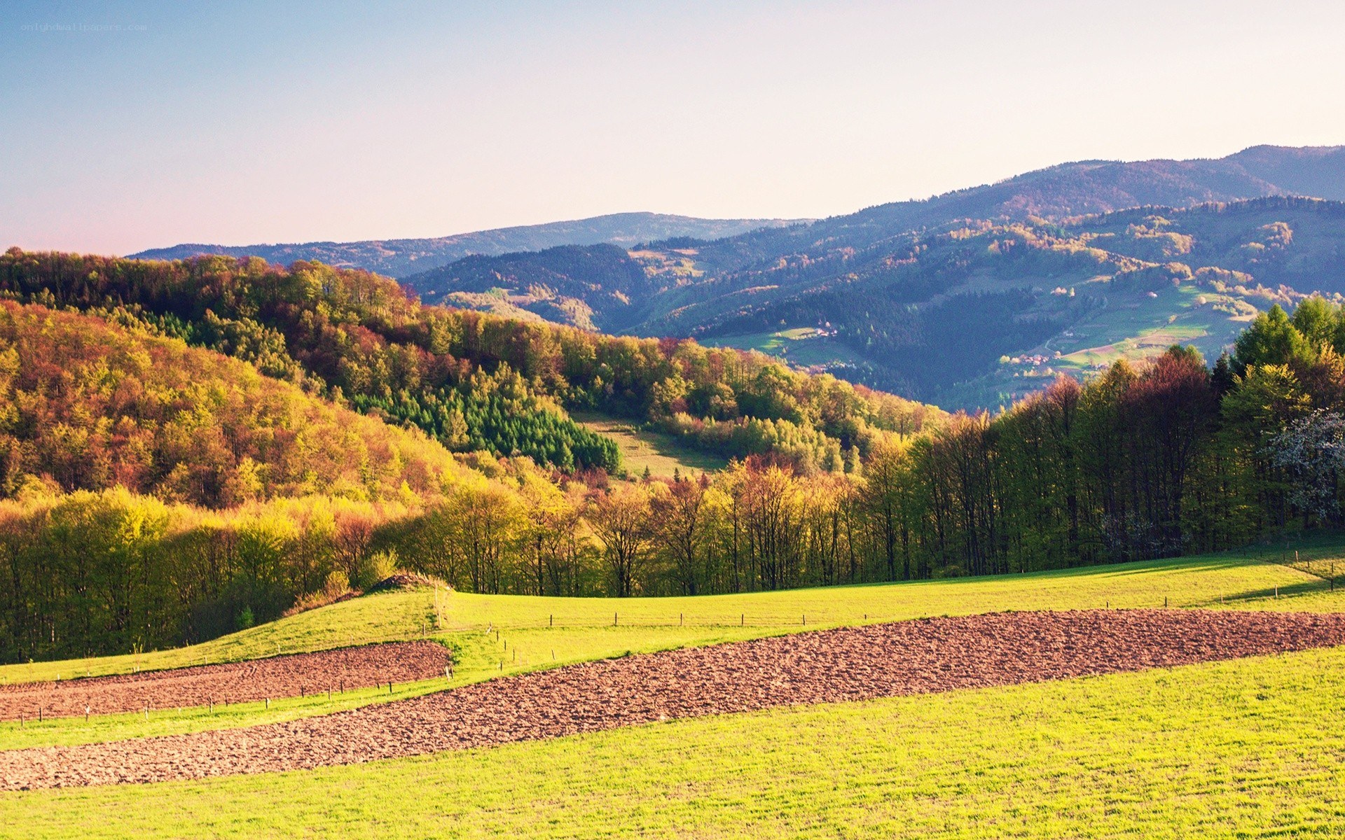 Autumn hills and fields