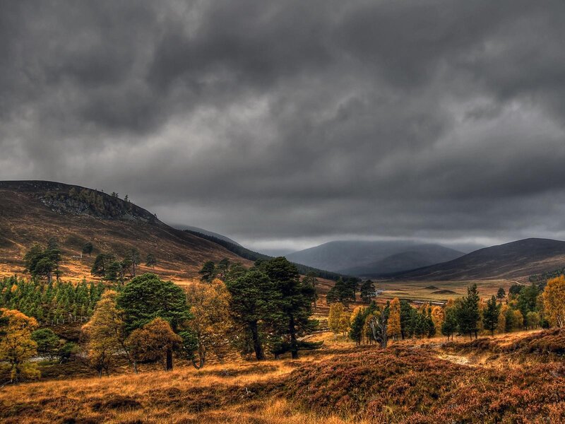Autumn Hills and Trees — Brown, Dramatic