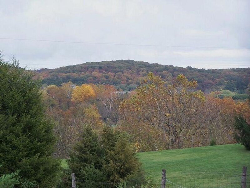 Autumn Hills and Trees — Green