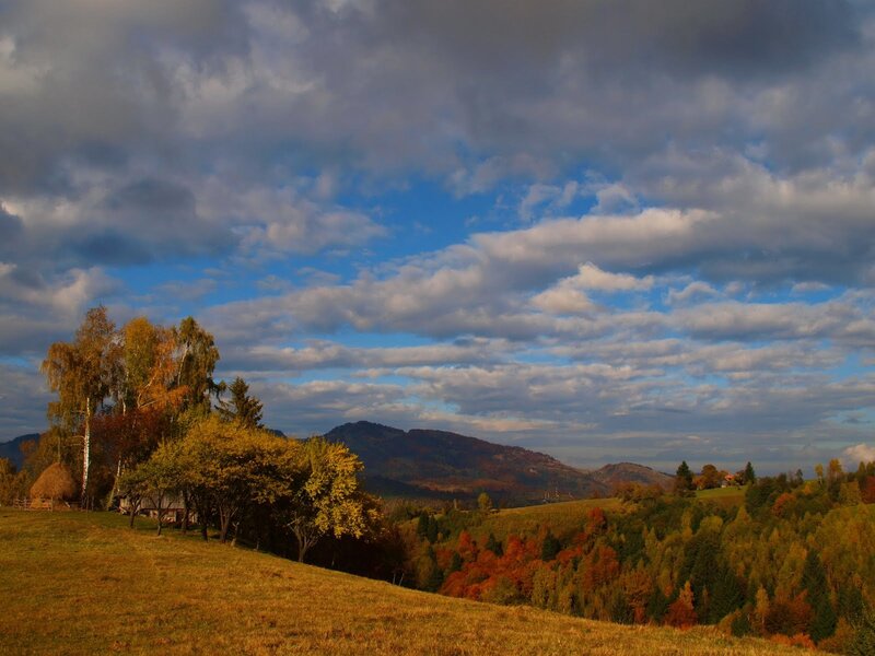 Autumn Hills and Trees