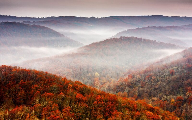 Autumn hills in mist