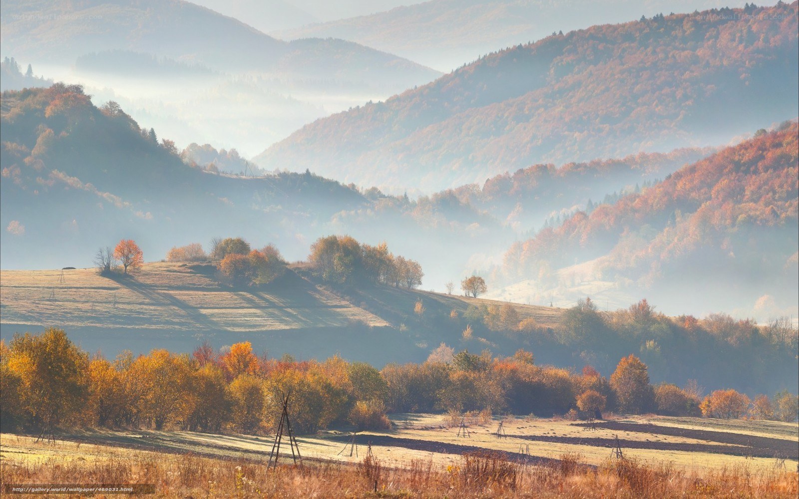 Autumn hills in mist
